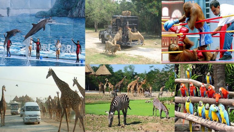 Safari World Thailand