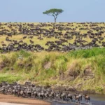 Tanzania's Natural Wonders