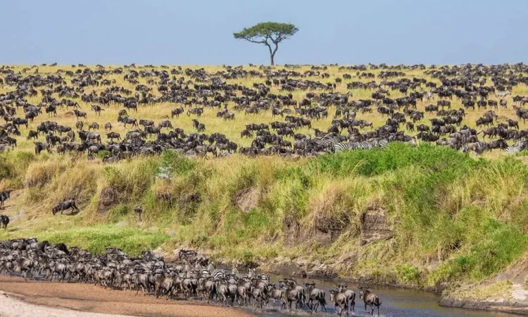 Tanzania's Natural Wonders