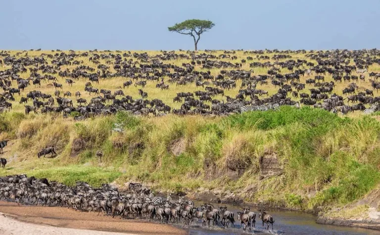 Tanzania's Natural Wonders