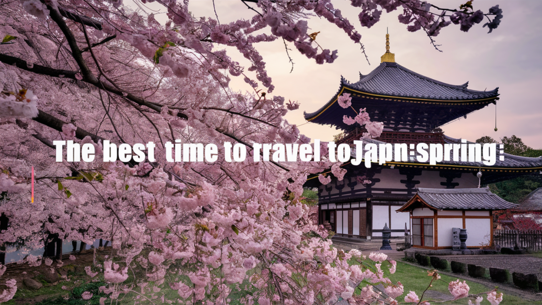 Best Time to Travel to Japan