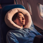 Wander Travel Pillow