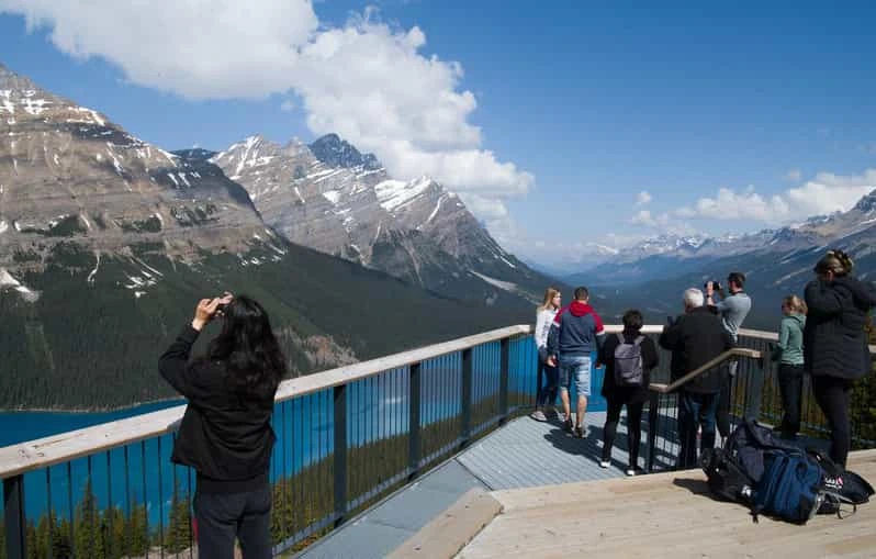 Guided Tours to Peyto Lake