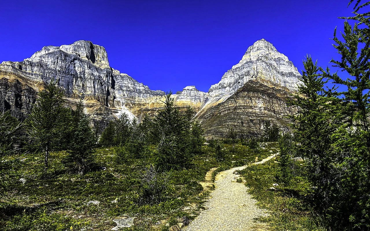 Larch Valley Trail