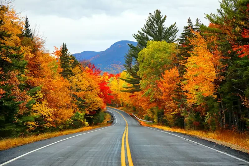 Seasonal Highlights Visit in New England