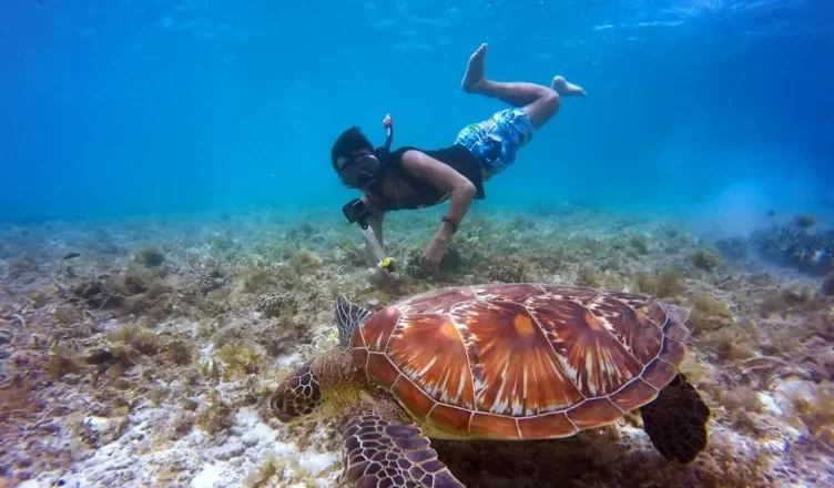 Snorkeling in Tulum