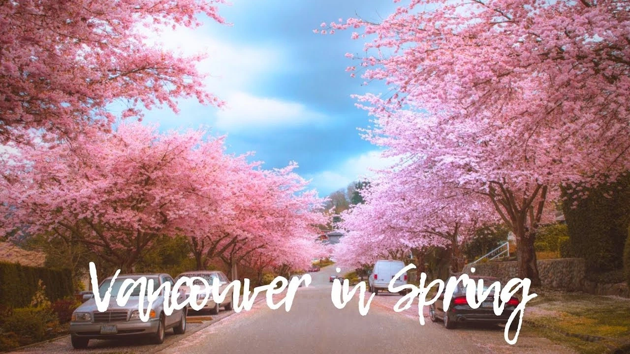 Spring in Vancouver