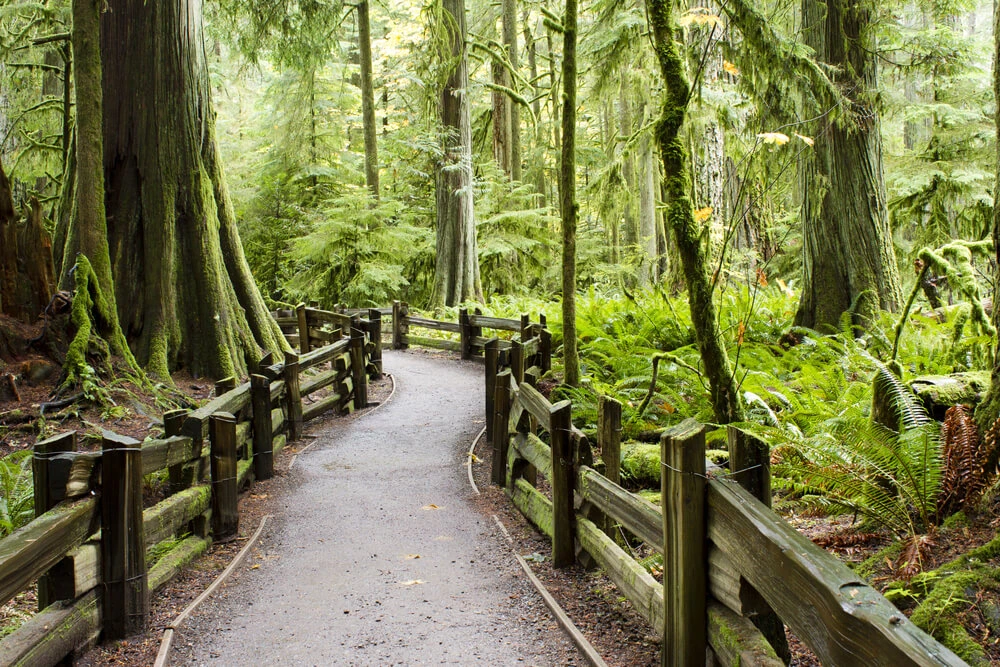 visit Vancouver, summer