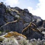 Kilimanjaro National Park