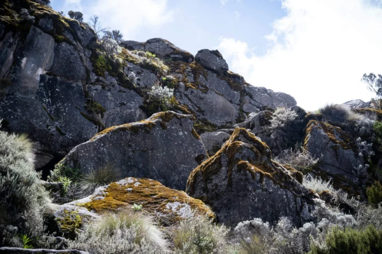 Kilimanjaro National Park